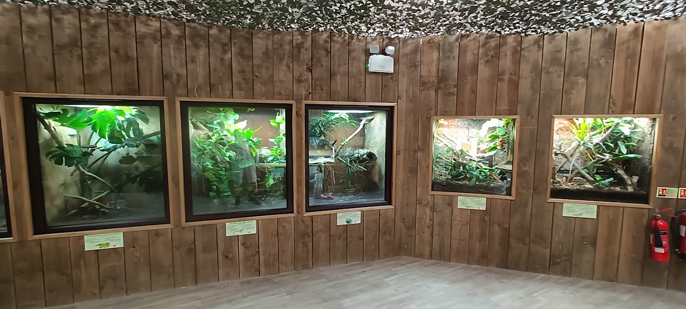 pili palas tropical house - indoor